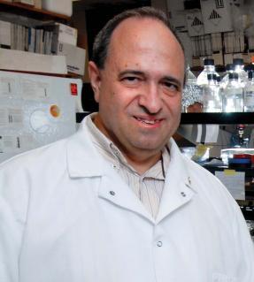 Raul Barletta, PhD