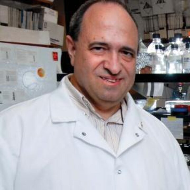 Avatar for Raul Barletta